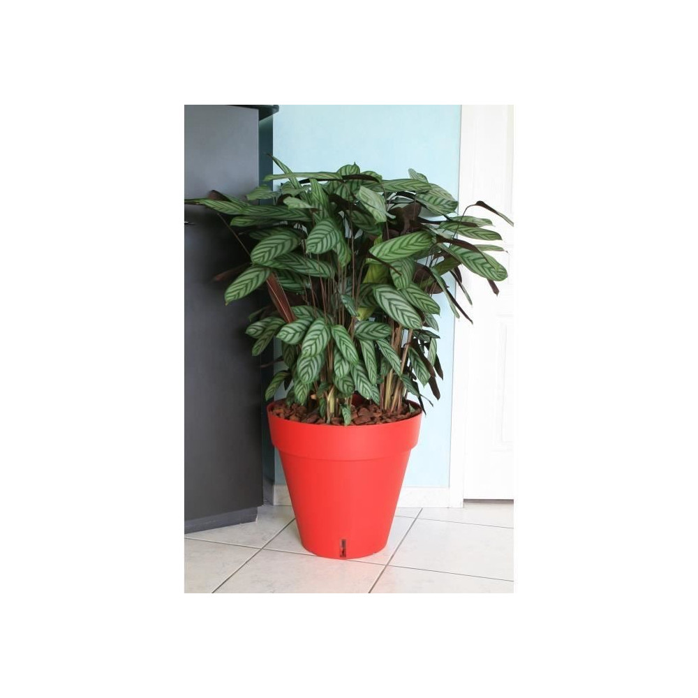 RIVIERA Pot de fleurs Loft avec réserve d'eau - Rond - Ø 50 x H 46 c