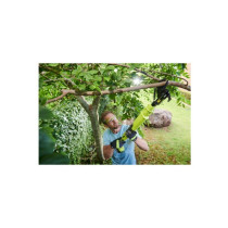 RYOBI - Coupe-branches 18V ONE+ - lames Bypass - capacité de coupe 32