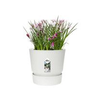 ELHO Pot de fleurs rond Greenville 25 - Extérieur - Ø 24,48 x H 23,3