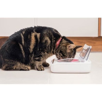 SUREFEED Distributeur de nourriture automatique pour chat anti-odeur -