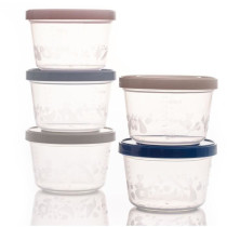 5 Boîtes de conservation 250ml
