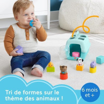 Fisher-Price-Trieur Caisse de Transport d'Animaux-Trieur 8 blocs HTW9