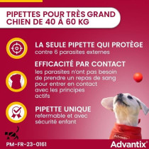 ADVANTIX 4 antiparasitic pipettes - For very large dog from 40 to 60 k