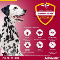ADVANTIX 4 antiparasitic pipettes - For very large dog from 40 to 60 k