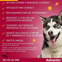 ADVANTIX 4 antiparasitic pipettes - For very large dog from 40 to 60 k
