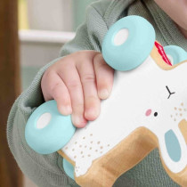 LAPIN A POUSSER EN BOIS