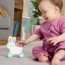 LAPIN A POUSSER EN BOIS