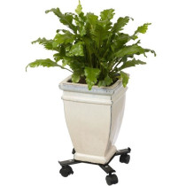 NATURE Roller shelf for extendable plants - Black metal - H6 x 34/51 x