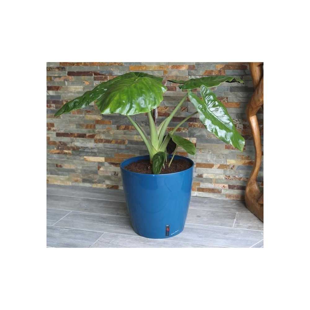 RIVIERA EVA NEW round flower box - Plastic - Diameter 31 cm - Blue RIVIERA EVA NEW round flower box - Plastic - Diameter 31 cm - Blue