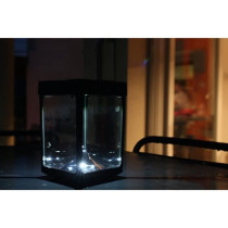 Mini photophore solaire pour table - Parois en verre - Noir