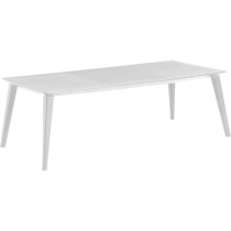 Table de jardin - rectangulaire - blanc - en résine - 8 a 10 personne