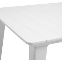 Table de jardin - rectangulaire - blanc - en résine - 8 a 10 personne