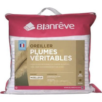 Blanreve batch of 2 feather pillows - 60x60 cm