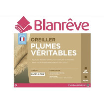 Blanreve batch of 2 feather pillows - 60x60 cm
