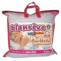 Blanreve batch of 2 feather pillows - 60x60 cm