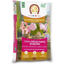 Terreau spécial plantes de bruyere - OR BRUN - OBRTBRU6U - 6L - Meill