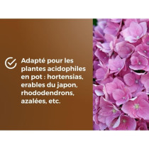 Terreau spécial plantes de bruyere - OR BRUN - OBRTBRU6U - 6L - Meill