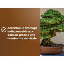 Terreau bonsais - OR BRUN - OBRTBON6U - 6L - Meilleur enracinement