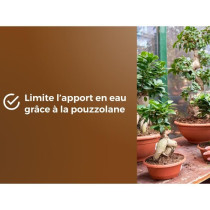 Terreau bonsais - OR BRUN - OBRTBON6U - 6L - Meilleur enracinement