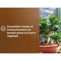 Terreau bonsais - OR BRUN - OBRTBON6U - 6L - Meilleur enracinement