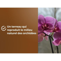 Terreau orchidées - OR BRUN - OBRTORC6U - 6L - Favorise la croissance