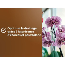 Terreau orchidées - OR BRUN - OBRTORC6U - 6L - Favorise la croissance
