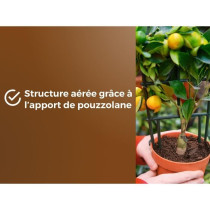 Terreau agrumes & Plantes méditerranéennes - OR BRUN - OBRTAGR6U - 6