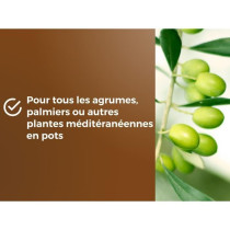 Terreau agrumes & Plantes méditerranéennes - OR BRUN - OBRTAGR6U - 6
