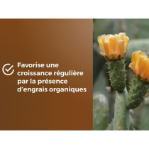 Substrat cactus & Plantes grasses - OR BRUN - OBRTCAC6U - 6L - Favoris