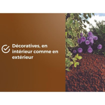 Paillage de Pouzzolane - OR BRUN - OBRPPOU6U - 6L - Protection des pla