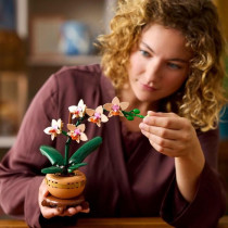 LEGO Botanique 10343 L'orchidée miniature - Fleurs artificielles - Id