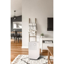 OCEANIC Electric air dehumidifier - Extraction 12 liters / day - Laund