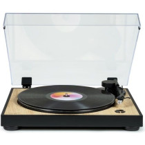 Black and wood-style turntable turntable