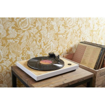THOMSON TT301 - 33 and 45 rpm designer vinyl turntable - Audio-Technic