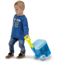 ECOIFFIER Rolly Bricks - 40 pieces - Les Maxi Collection - From 18 mon