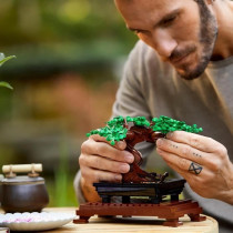 LEGO Creator Expert 10281 Bonsai Creative Hobby for Adults, DIY Botani