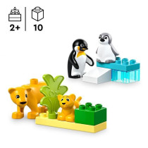 LEGO DUPLO My Town 10442 Wild Animal Families: Penguins and Lions - Ed