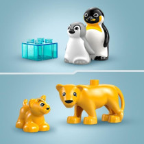 LEGO DUPLO My Town 10442 Wild Animal Families: Penguins and Lions - Ed