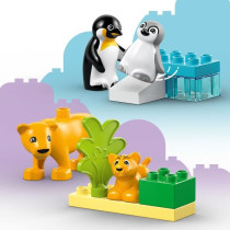 LEGO DUPLO My Town 10442 Wild Animal Families: Penguins and Lions - Ed