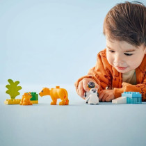 LEGO DUPLO My Town 10442 Wild Animal Families: Penguins and Lions - Ed