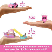 Barbie-Doll and vehicle Mini BarbieLand-Assortment HYF38