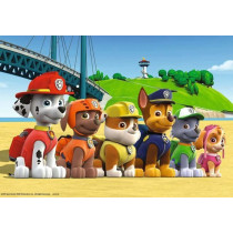 PAT'PATROUILLE Puzzle Heroic Dogs 2x24 pcs