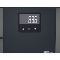 Bathroom scales - Terraillon - MASTER FIT ULTRA - Electronic, WIFI con