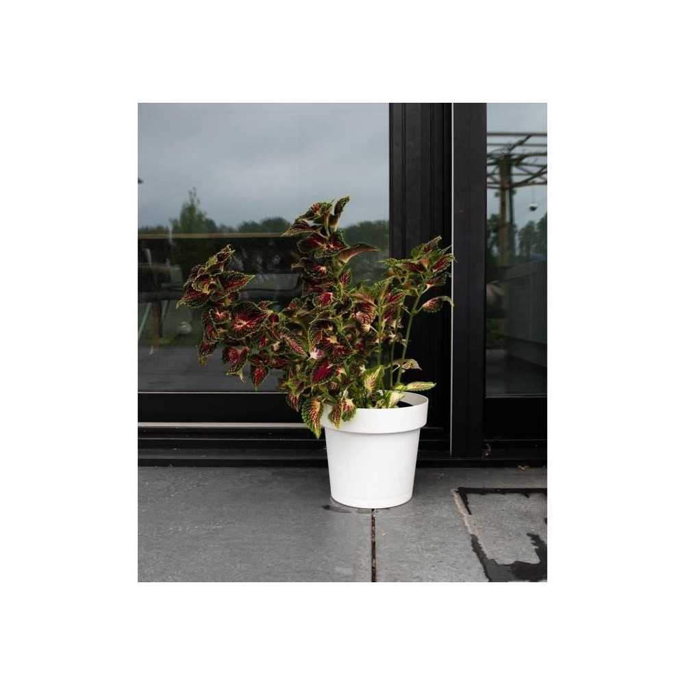 Water reserve pot - GARDEN ID Glamour - White 40 cm - Grainy surface - Water reserve pot - GARDEN ID Glamour - White 40 cm - Grainy surface -
