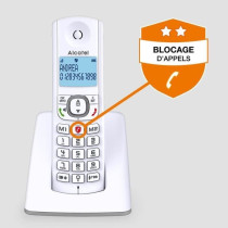 Alcatel F530 Solo Cordless Phone Without Answering Machine Gray