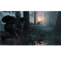 The Last of Us Part II PS4 Game
