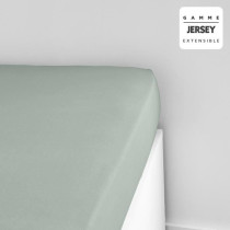 TODAY ESSENTIAL TODAY CHARG - 140 x 190+25 cm - 1 person - 100% Jersey