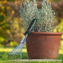 Lawn broom