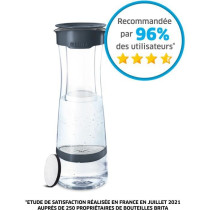 Brita Fill & Serve filter bottle - 1.3 l - gray