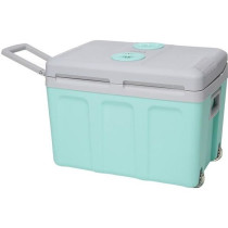 Thermoelectric cooler - EZA - 40L